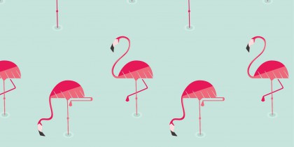 Flamingo patterns